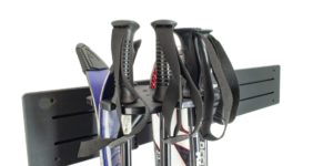 Dual Ski Mount